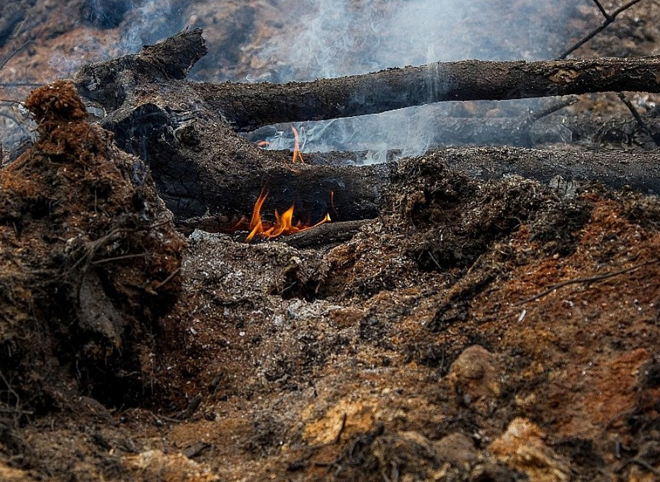Торфяной пожар в Клепиковском районе ликвидирован