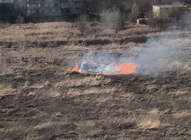 На окраине Рязани шашлычники устроили пожар в поле