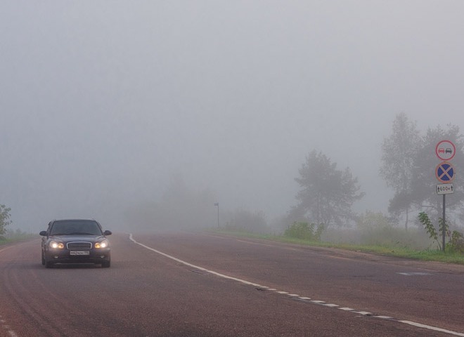 МЧС  предупредило рязанцев о сильном тумане