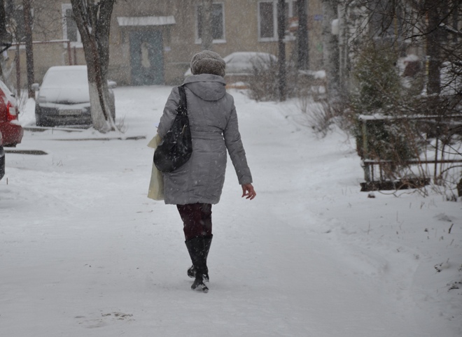 Рязанское МЧС выпустило метеопредупреждение о мокром снеге и гололедице