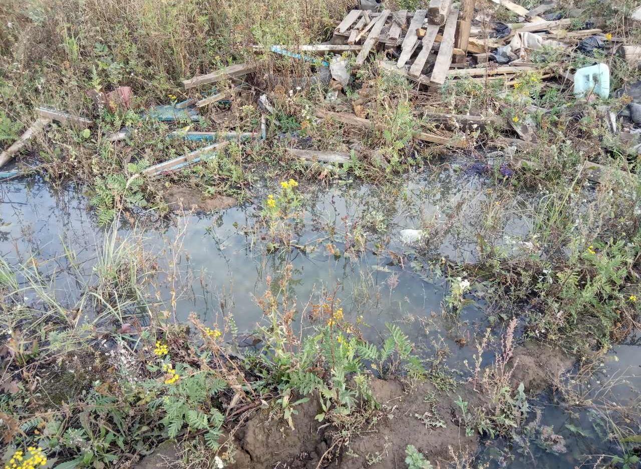 Соцсети: канализационные стоки из ЖК «Юный» сбрасывают в поле