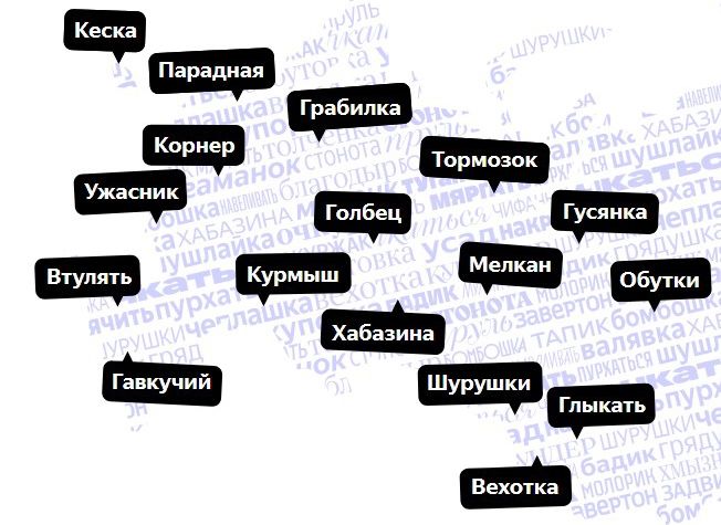 Ко Дню русского языка «Яндекс» составил список «рязанских словечек»