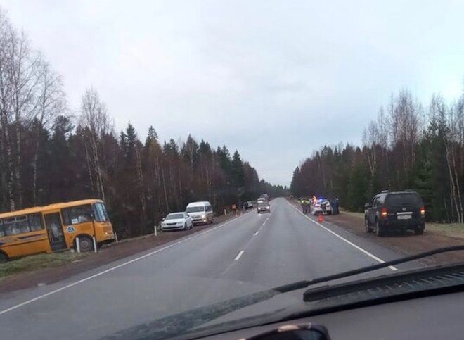 В Ленобласти иномарка протаранила автобус, пострадали 24 человека