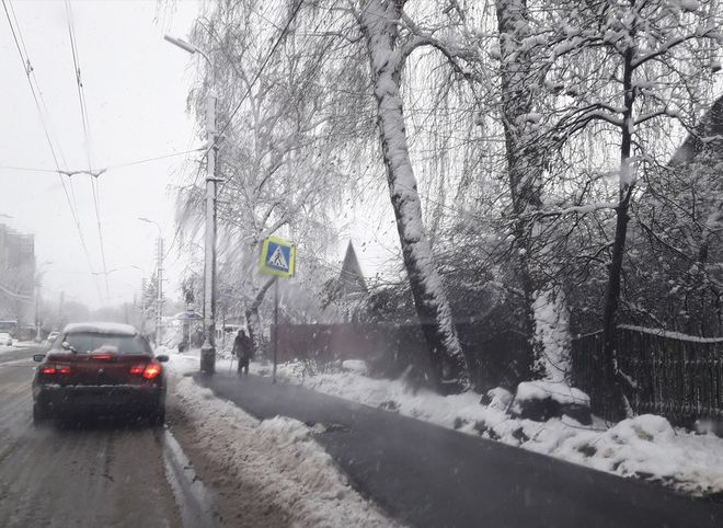 Фото: в Рязани во время снегопада укладывают асфальт