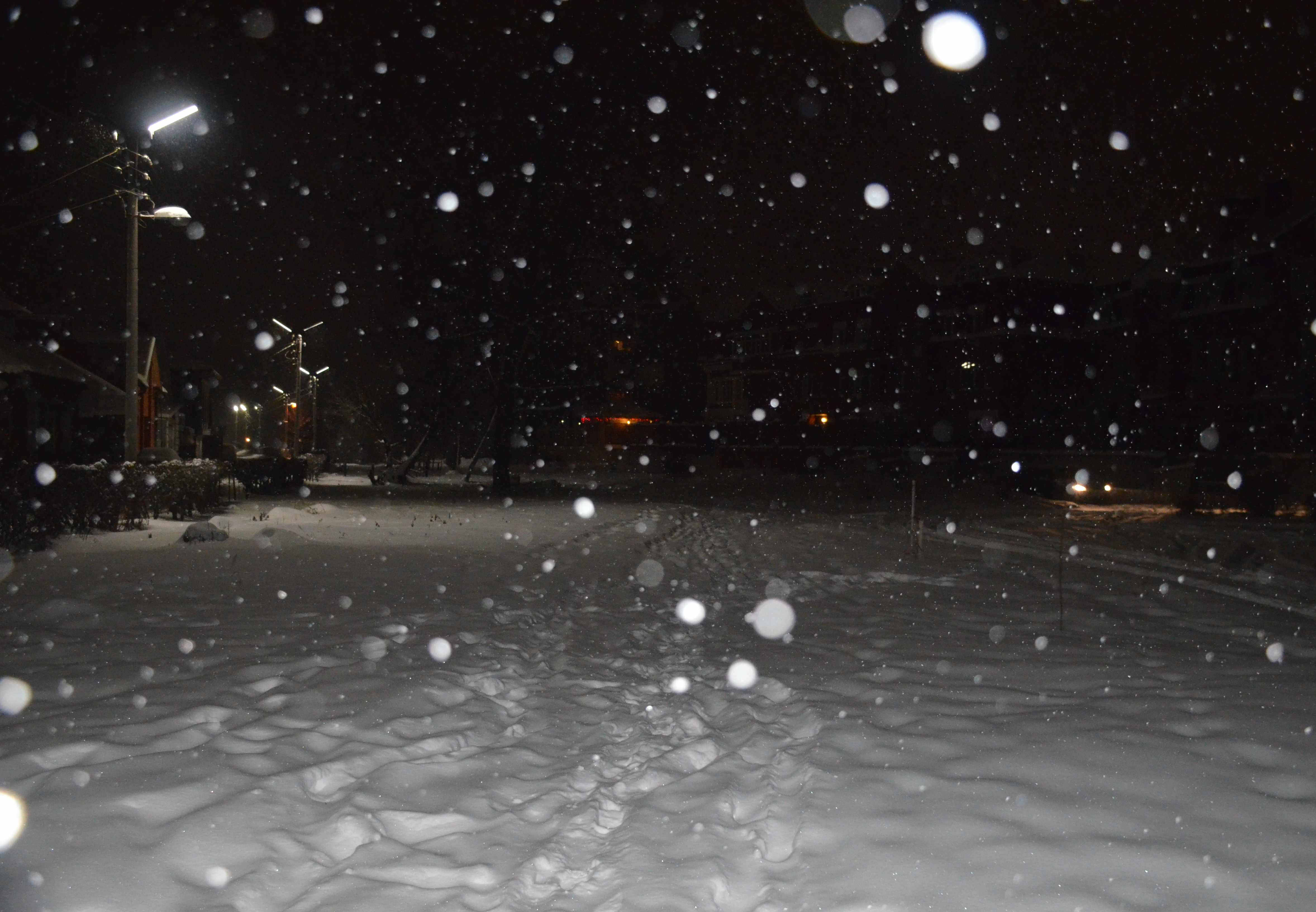 В понедельник в Рязань придет сильный снегопад