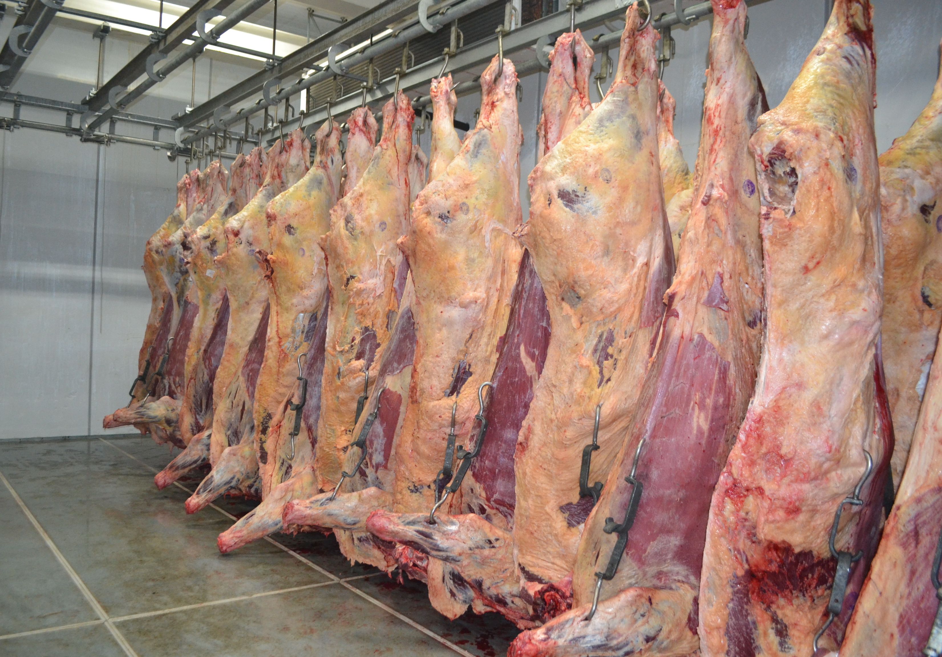 Сбербанк дал кредит в 30 млн на мясной цех под Рязанью