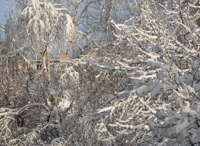 В четверг ночью в Рязанской области ожидается до -26 °С
