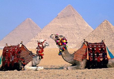 Власти Египта ожидают скорого возвращения туристов РФ