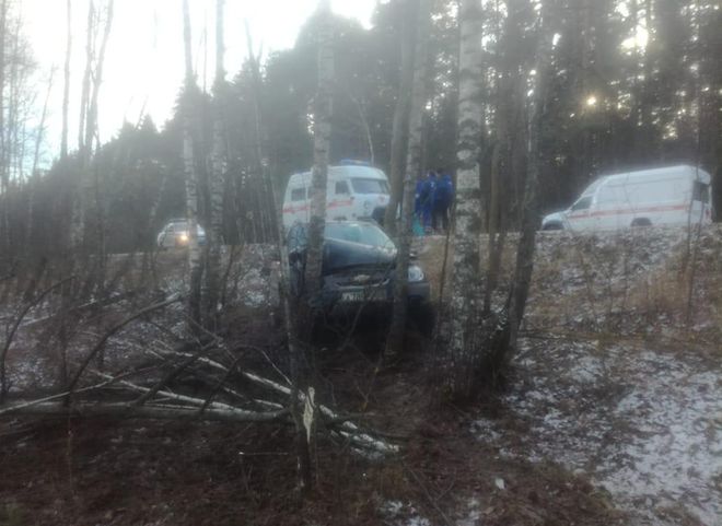 В Спасском районе Chevrolet съехал в кювет и врезался в дерево