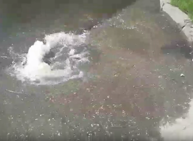 Видео: на улице Трудовой вода бьет фонтаном из канализационного люка