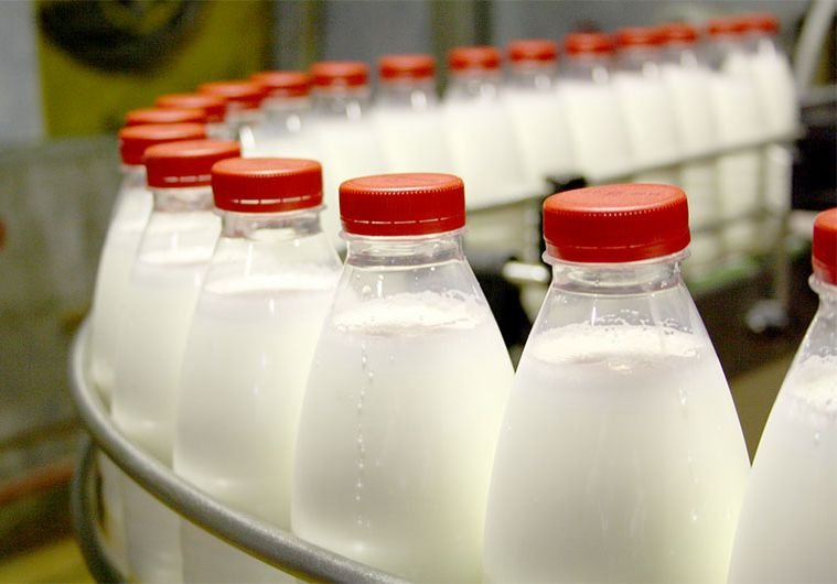 Рязанские ресурсы сырого молока составили 346,2 тыс. тонн