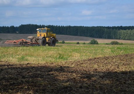 Рязанские сельхозпредприятия увеличили прибыль в 2,2 раза