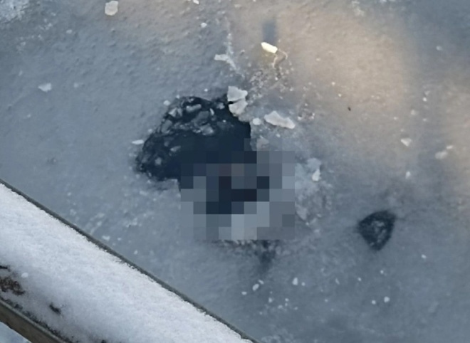 В Липецке в реке обнаружили тело пропавшего подростка