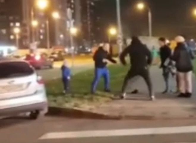 Четверо приезжих напали на мужчину с ребенком в Новой Москве