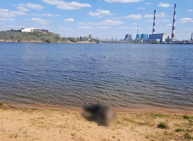 В Новомичуринске двое рыбаков вытащили из воды труп мужчины