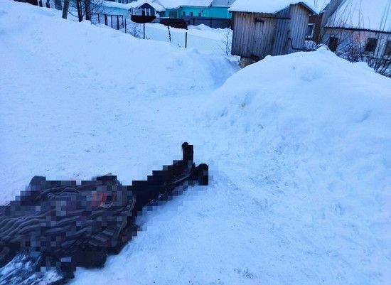 В Скопинском районе замерзла насмерть 71-летняя пенсионерка
