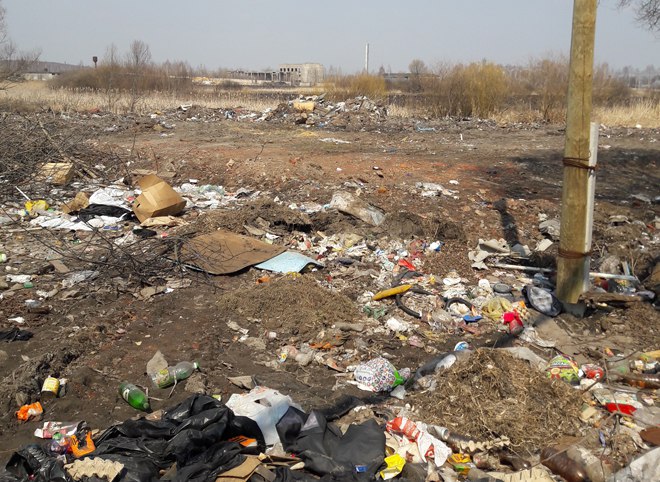 Жители Ряжска пожаловались на «экологическую катастрофу»