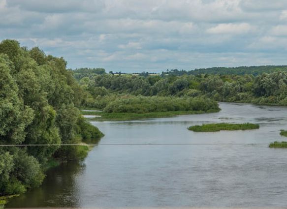 Старое березово сасовский район фото