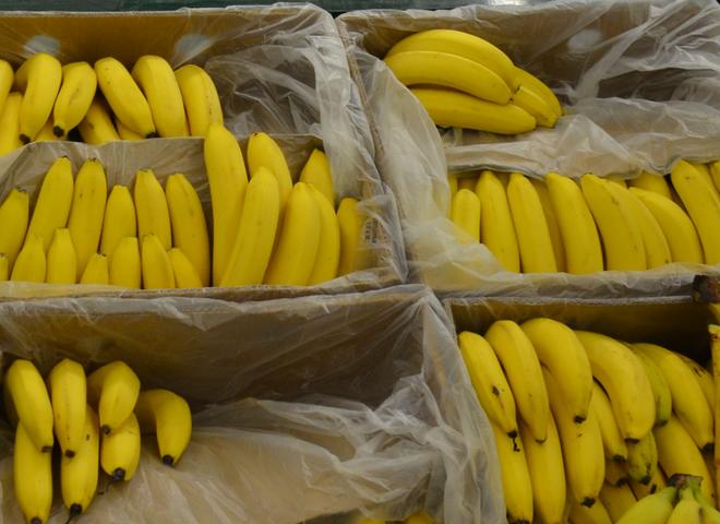 Человечество рискует остаться без бананов