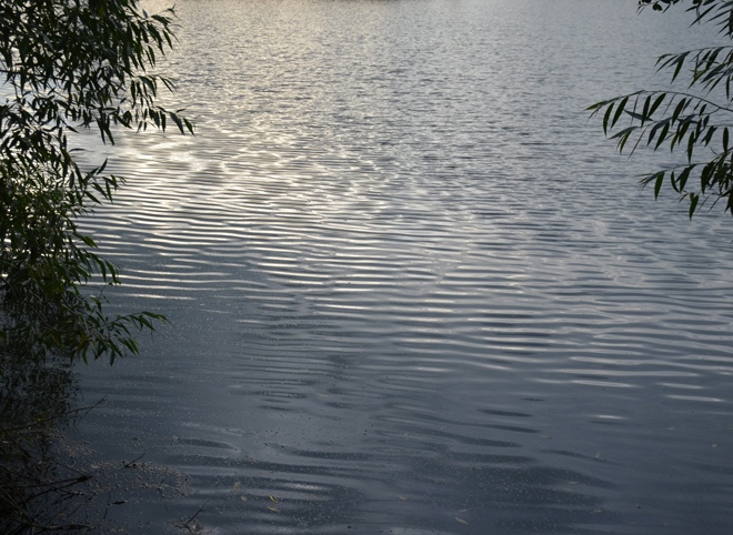 В Рязанской области 17-летний молодой человек утонул в озере