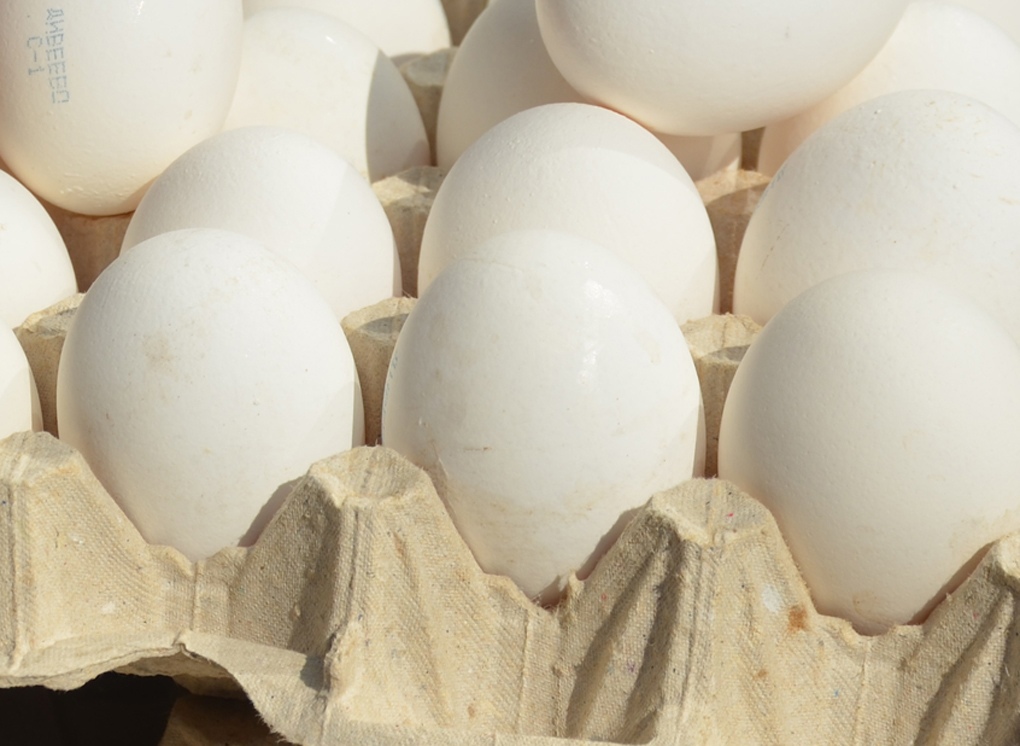 Импортные яйца не попали в российские торговые сети