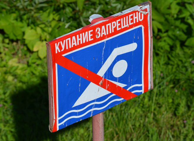В Рязанской области 46-летний мужчина утонул в пруду