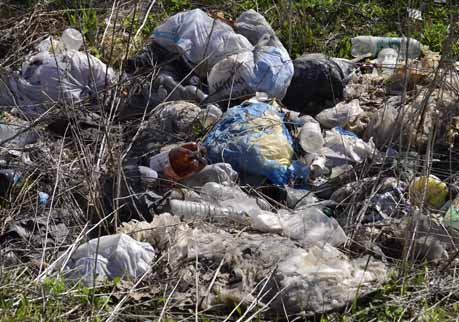 Рязанских объектов размещения отходов хватит еще на 8-9 лет
