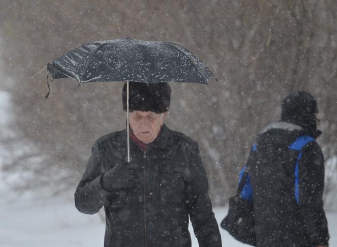 Жителей Рязанской области предупредили о «новогоднем» снегопаде