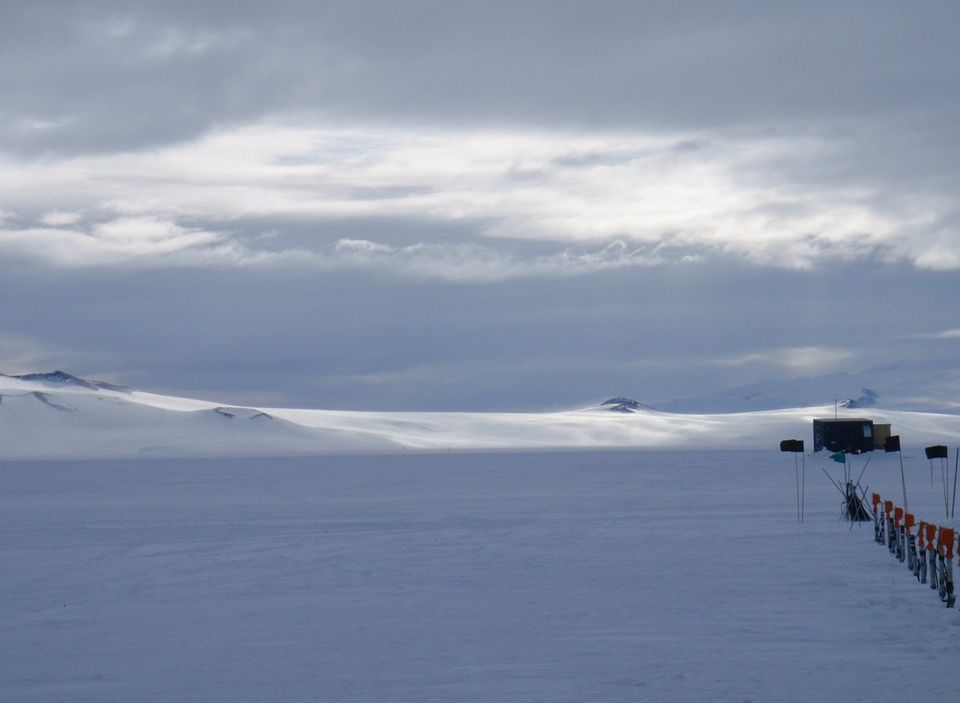 Ученые обнаружили останки живых организмов подо льдами Антарктиды