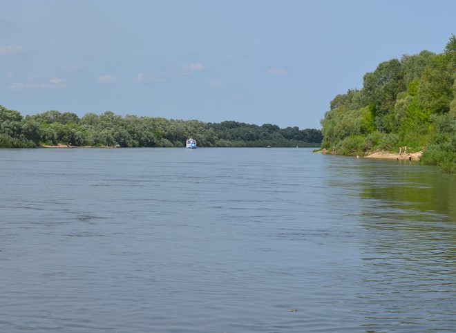 Минприроды: река Ока в Рязанской области серьезно загрязнена