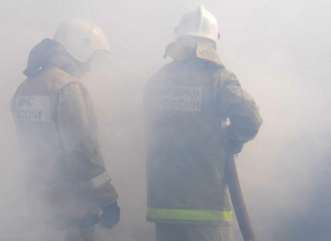 На пожаре в Михайловском районе пострадал 38-летний мужчина