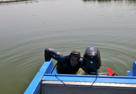В пруду в Сасовском районе утонул мужчина