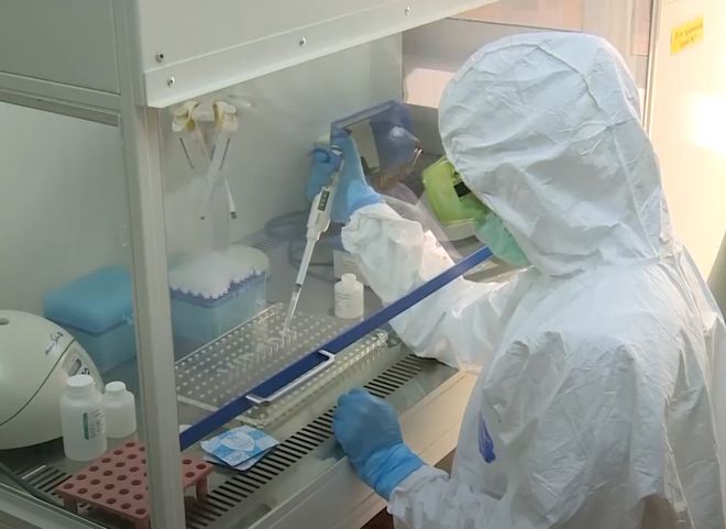 Рязанцев начнут тестировать на антитела к коронавирусу
