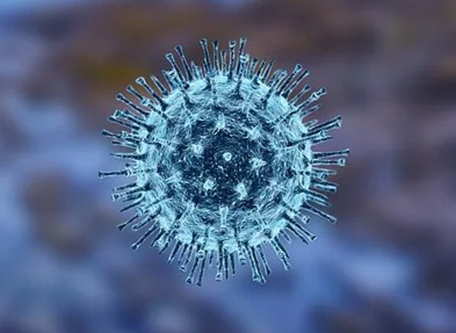 В Рязанской области еще у 28 человек подтвердился коронавирус