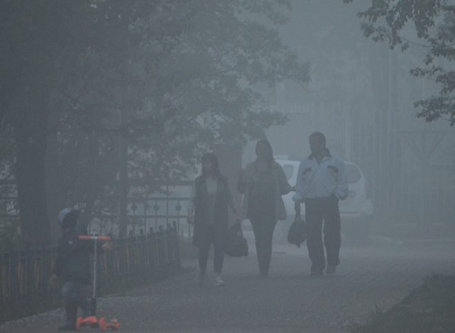 МЧС предупредило жителей Рязанской области о тумане