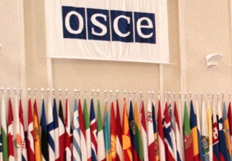 Сессия ОБСЕ одобрила антироссийскую резолюцию