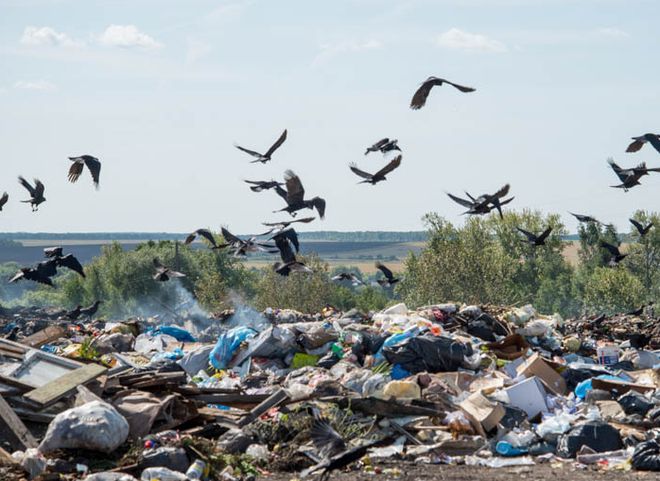 В Рязанской области повторно выберут «мусорного оператора»