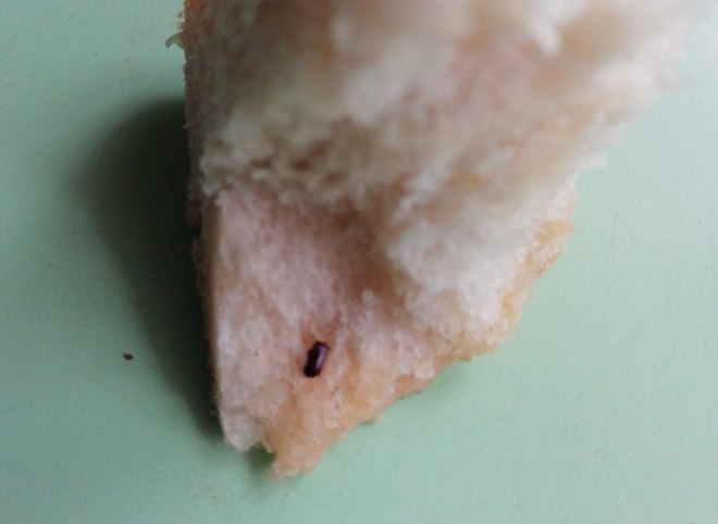 Рязанка нашла в хлебе насекомое