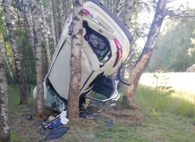 В ДТП с улетевшим под Рязанью в лес автомобилем пострадали три человека