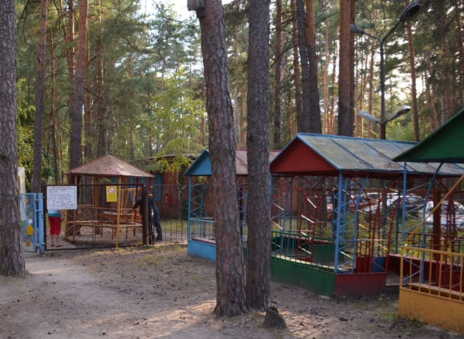 В Рязанской области заработали детские лагеря