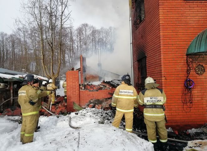 Прокуратура начала проверку после пожара в селе Ласково