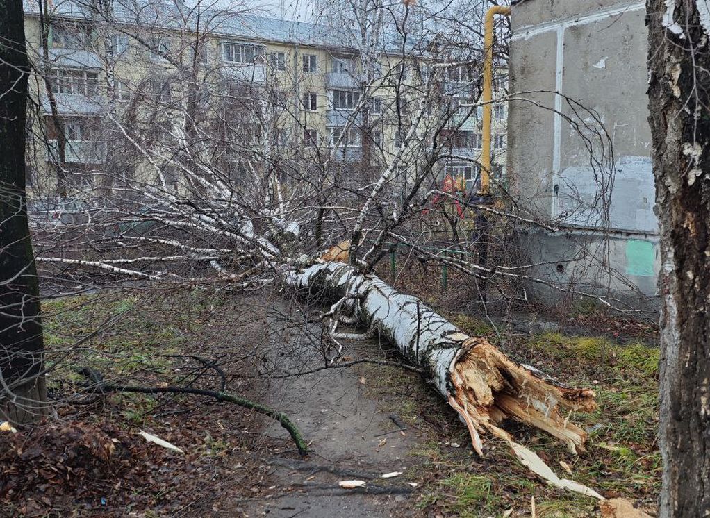 Тысячи рязанцев остаются без электроэнергии