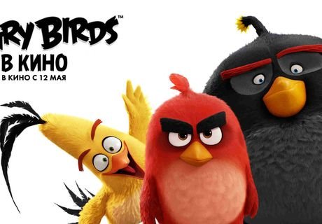 Превью-сеанс «Angry birds в кино» пройдет в «Пять звезд»