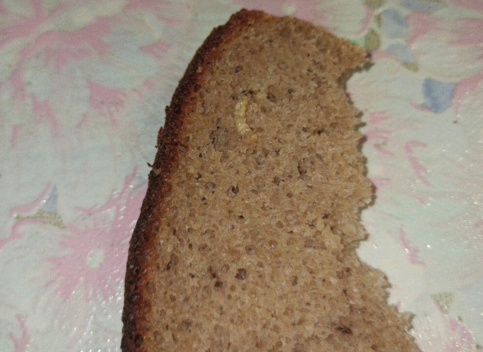 Житель Рыбного купил в «Магните» хлеб с личинками