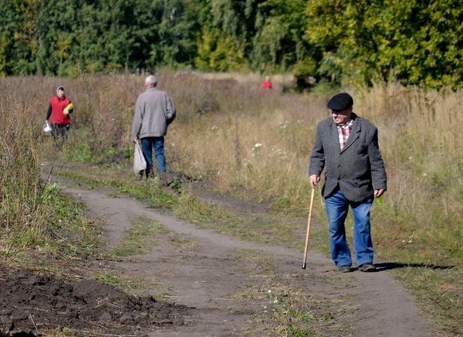 В 2022 году в России изменится порядок выплаты пенсий