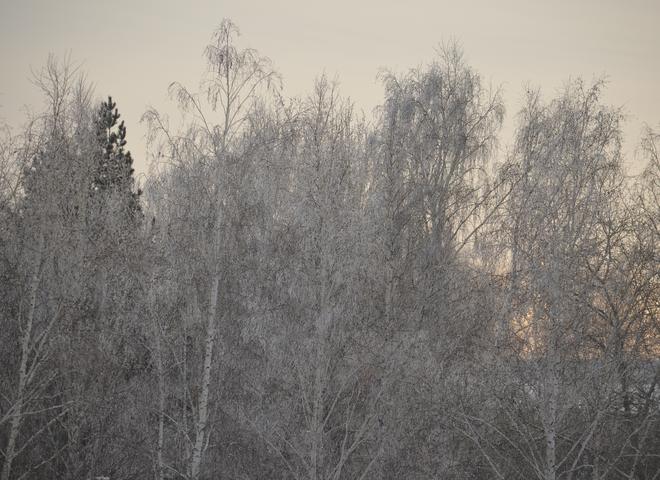 Рязанское МЧС объявило «морозное» метеопредупреждение