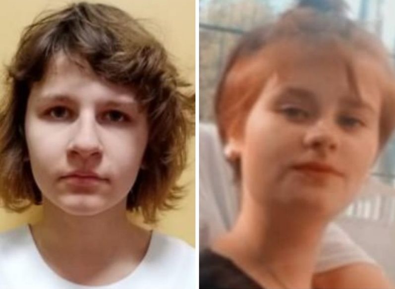 После исчезновения двух девочек под Касимовом заведено дело по статье «Убийство»