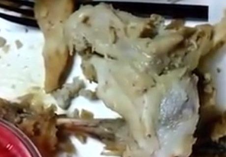 Семья из США обнаружила в KFC мясо с личинками (видео)