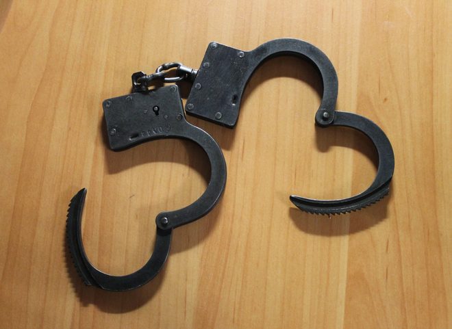 Череповецкие полицейские поймали в Рязани мошенника