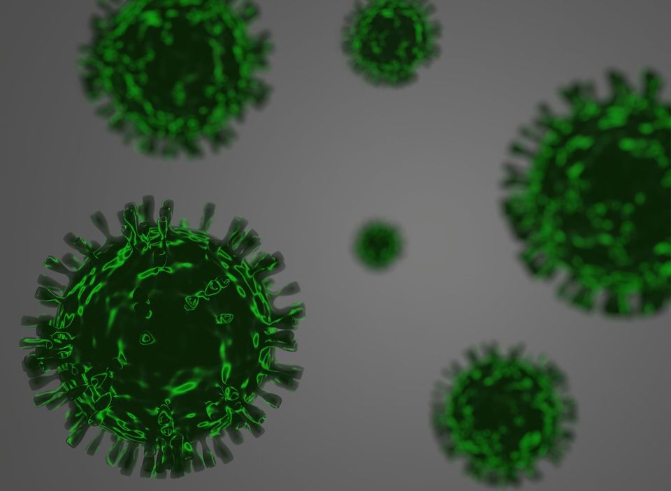 Омикрон-штамм коронавируса может быть опаснее Эболы
